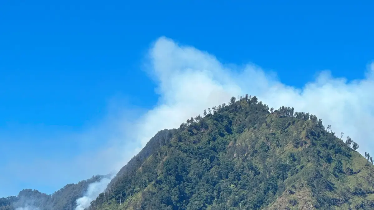 TERSULUT API: Kepulan asap yang membumbung akibat kebakaran hutan di kawasan Tahura R. Soerjo, tepatnya di lereng Gunung Biru, Pegunungan Anjasmoro, Kabupaten Mojokerto, Rabu (15/7). (dok BPBD Kabupaten Mojokerto for JPRM)