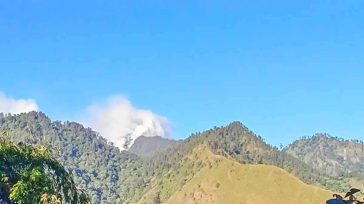 MASIH MENGEPUL: Kondisi asap yang membumbung akibat kebakaran di kawasan Tahura R. Soerjo, RKW 06 Mojokerto Barat, Desa Begaganlimo, Kecamatan Gondang, Kabupaten Mojokerto, Kamis (16/7). (Rizal JPRM)