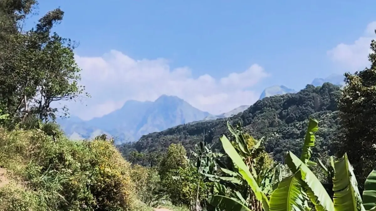 KEMBALI DIBUKA:&nbsp;Jalur pendakian di Bukit Cendono, Desa Kemiri, Kecamatan Pacet, Kabupaten Mojokerto kembali dibuka setelah sempat ditutup akibat kebakaran di kawasan Tahura R. Soerjo pekan lalu. (Rizal JPRM)