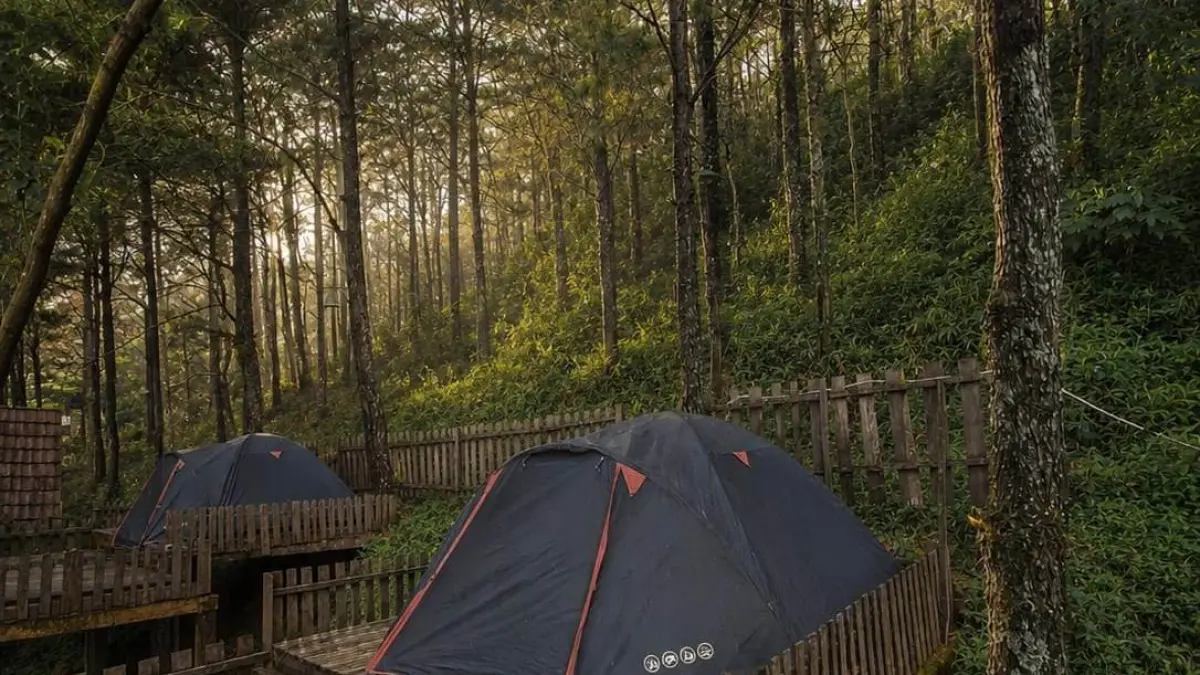 Alas Pacet. Kawasan ini merupakan salah satu destinasi wisata alam favorit di Mojokerto karena menawarkan udara sejuk, panorama hutan pinus, jalur pegunungan, serta menjadi pintu masuk menuju beberapa objek wisata di lereng Gunung Welirang dan Gunung Penanggungan.