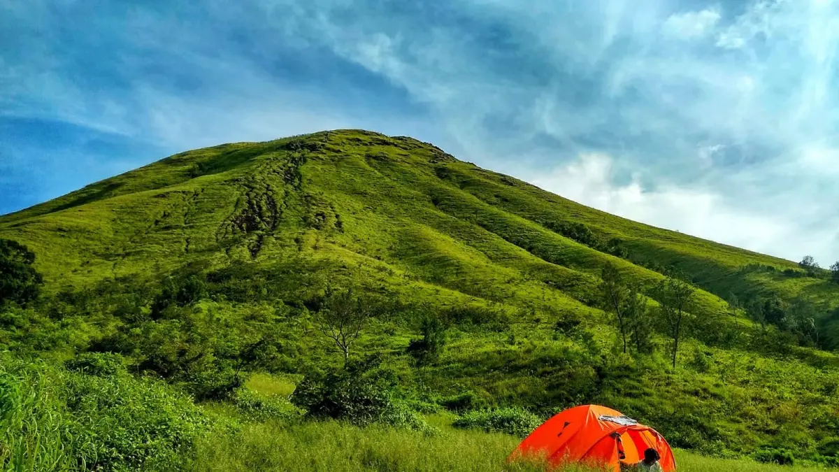 Melihat secara langsung keindahan sabana hijau Gunung Penanggungan yang megah! Destinasi yang ramah untuk para pendaki pemula maupun penikmat alam terbuka.