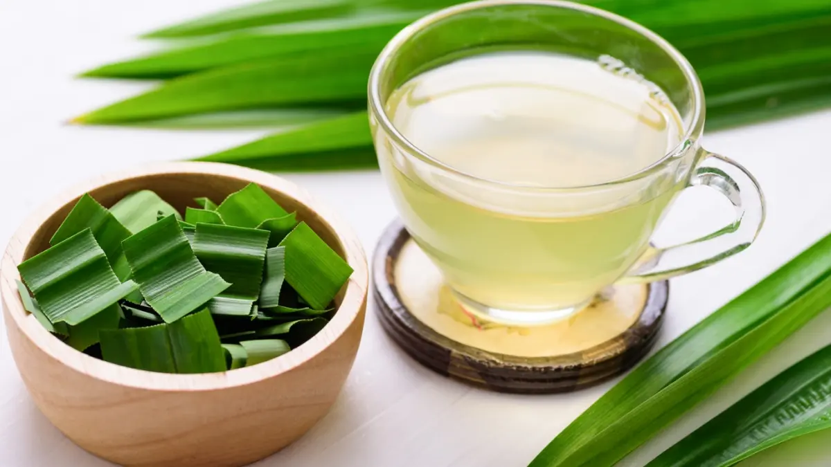 Secangkir air rebusan daun pandan hangat yang kaya akan kandungan senyawa aktif dan antioksidan alami. Selain memberikan aroma harum, racikan herbal ini dikenal berkhasiat membantu mengontrol kadar gula darah sekaligus meredakan nyeri sendi akibat asam urat.
