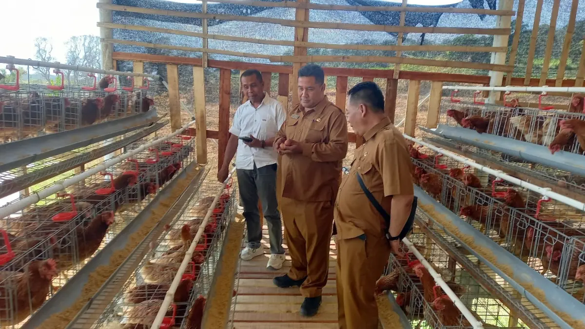 UNIT USAHA:&nbsp;Plt Camat Pacet Djoko Widjayanto didampingi Kades Nogosari Yono memanen telur di kandang milik desa untuk ketahanan pangan berkelanjutan. (Dori JPRM)