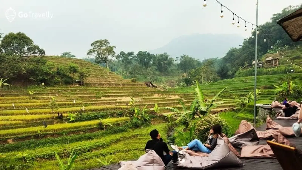 Hamparan sawah bertingkat yang mengelilingi Teras Tapak menjadi pemandangan utama bagi pengunjung yang menikmati suasana santai sambil bersantap di kawasan Trawas, Mojokerto.