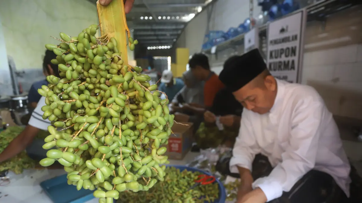 TRADISI TAHUNAN: Panitia Masjid Al-Mubarok tengah menyiapkan buah kurma selepas dipanen dari pohon yang tumbuh di halaman masjid, Sabtu (8/8). (Sofan Kurniawan/JPRM)