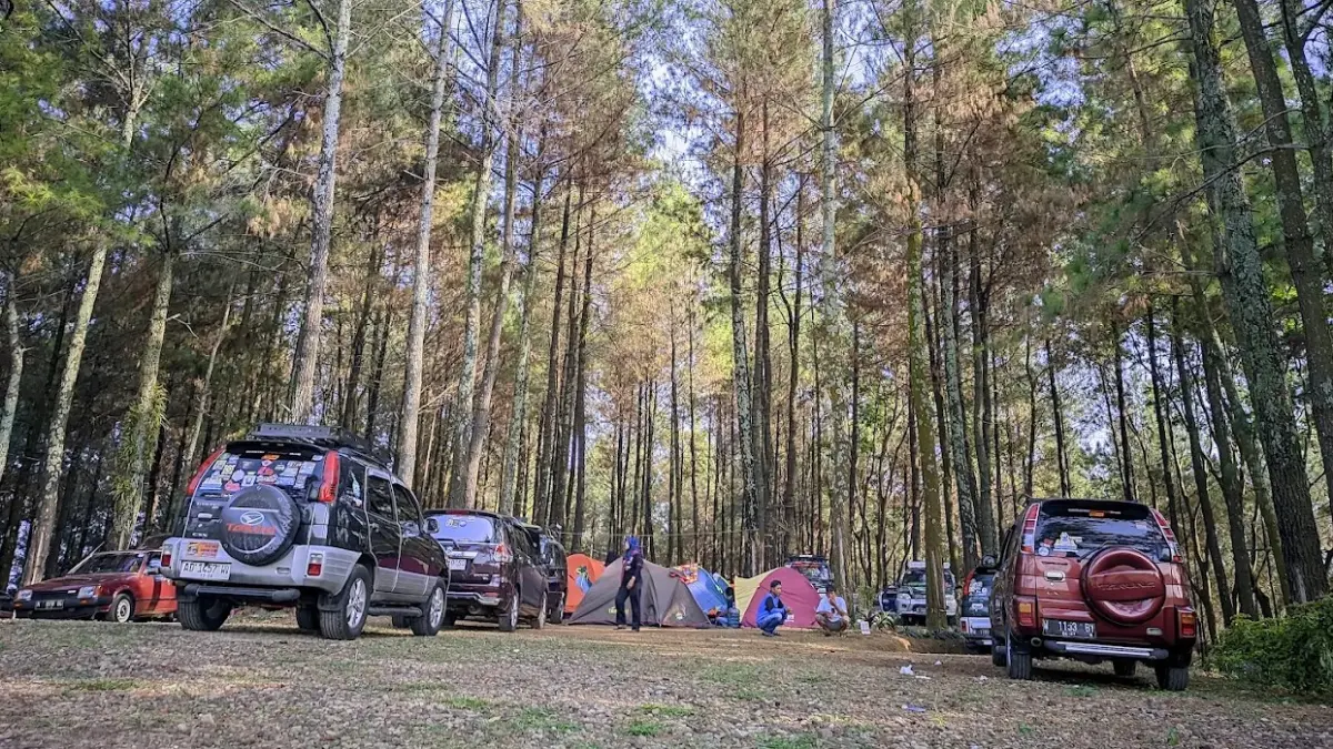 Wisata Alas Soeko Hadirkan Area Camping, Campervan hingga Outbound Seru di Trawas.