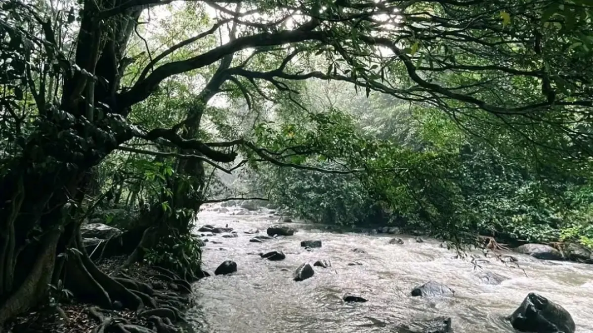 Suasana asri dan aliran sungai yang jernih di kawasan wisata Dam Londo, yang menjadi lokasi favorit untuk berlibur di akhir pekan.