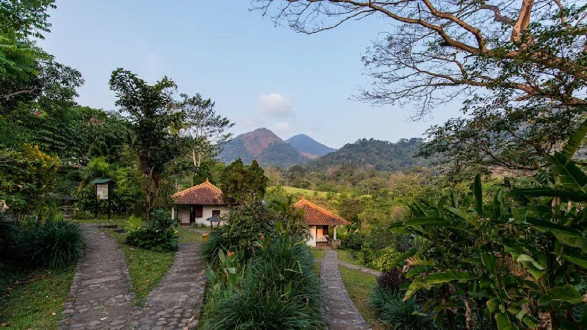 Suasana asri PPLH Seloliman di Trawas, Mojokerto, dengan pepohonan hijau dan panorama pegunungan yang menambah kesejukan kawasan wisata edukasi lingkungan.
