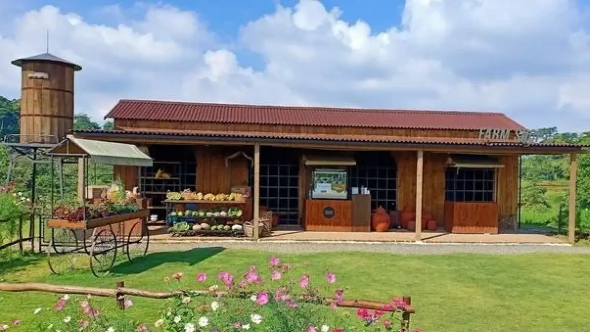Pemandangan Alam dari Kafe yang Digemari Banyak Anak Muda Karena Estetikanya