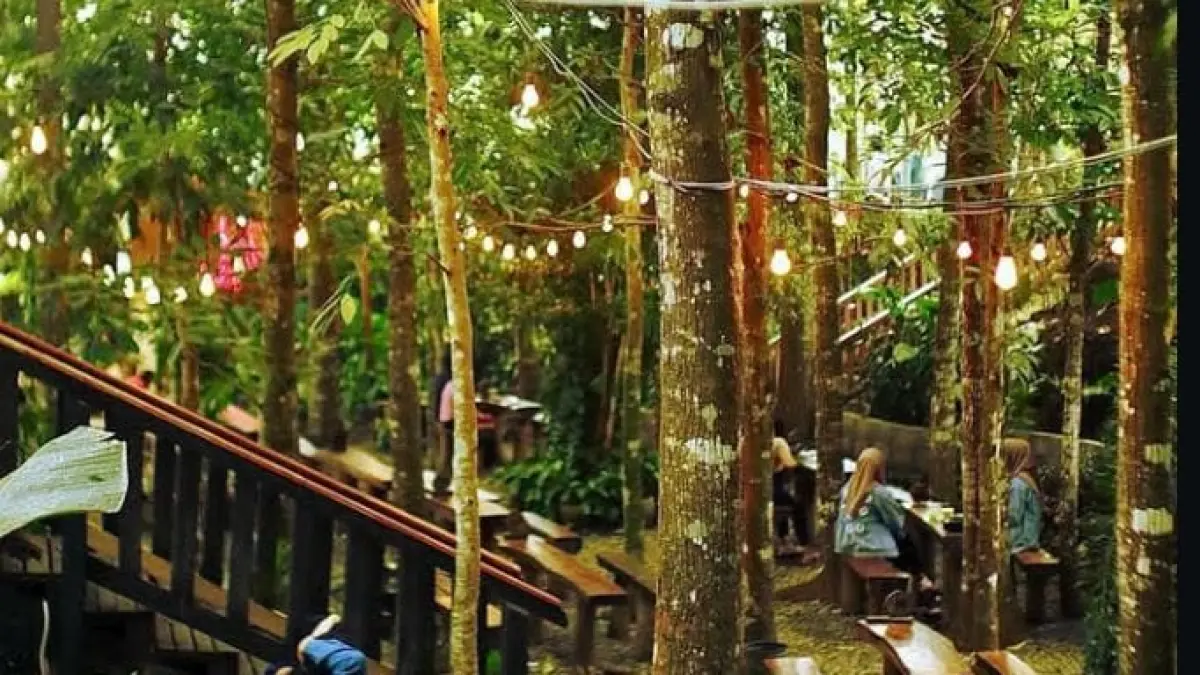 Suasana area outdoor Alas Trawas, duduk dibawah rindangnya pohon tinggi dan lampu lampu yang membuat suasana jadi lebih estetik.