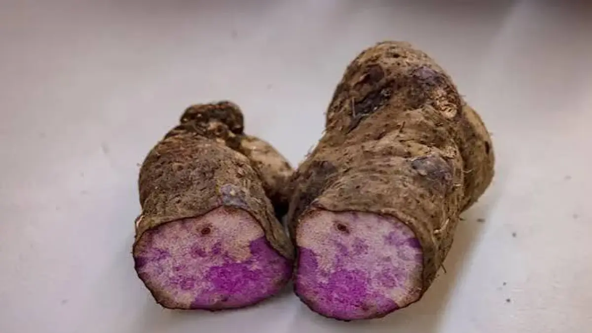 Umbi ube atau uwi ungu yang telah dibelah, memperlihatkan warna ungu alami pada bagian dalamnya yang menjadi ciri khas bahan tersebut.