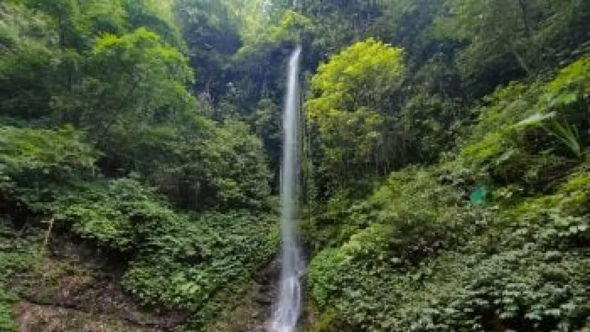 Menyatu dengan alam di Air Terjun Grenjengan, dikelilingi hutan pinus dan udara sejuk khas Pacet