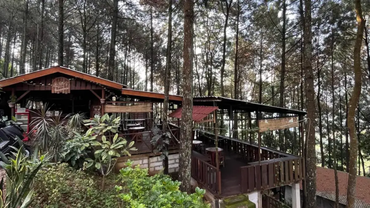 Wisata alam Alas Pacet Mojokerto. Tawarkan kafe 24 jam, camping ground, dan cabin di hutan pinus.