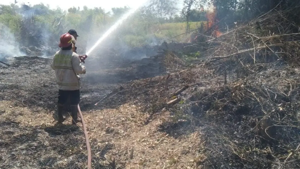 DIPADAMKAN: Petugas Damkar BPBD Kabupaten Mojokerto menjinakkan api yang membakar lahan di wilayah Kecamatan Gedeg, beberapa waktu lalu. (dok JPRM)
