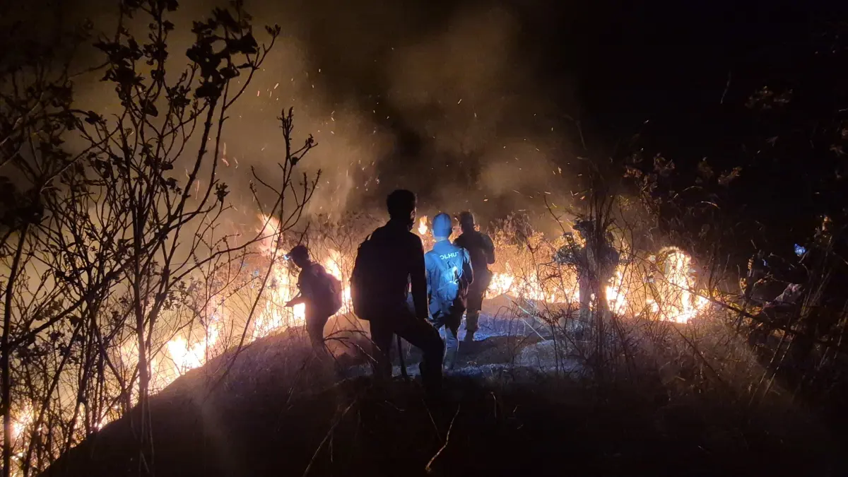 MANUAL: Tim gabungan BPBD Kabupaten Mojokerto bersama personel lintas instansi melakukan pemadaman kebakaran di kawasan Tahura R. Soerjo, RKW 06, Blok Sawahan, Gunung Anjasmoro, Kecamatan Gondang, Kamis (20/8) malam. (dok BPBD Kabupaten Mojokerto for JPRM)