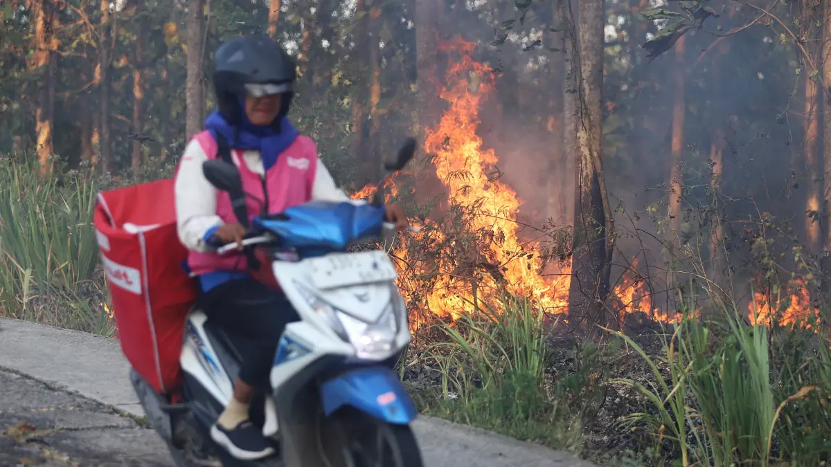 API KIAN MEMBESAR: Pengendara motor melintasi jalan yang membelah hutan jati di Desa Mojoroto, Kecamatan Jetis, Senin (24/8). Kobaran api muncul di tengah kondisi hutan yang mengering. (Sofan/JPRM)