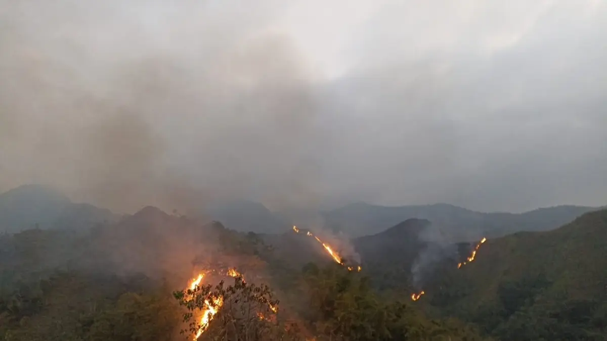 MEMBARA:&nbsp;Personel BPBD bersama tim gabungan melakukan upaya pemadaman kebakaran di Pegunungan Anjasmoro, tepatnya di kawasan RKW 06 Mojokerto Barat, Tahura R. Soerjo, Kecamatan Gondang, Minggu (23/8). (dok BPBD Kabupaten Mojokerto for JPRM)