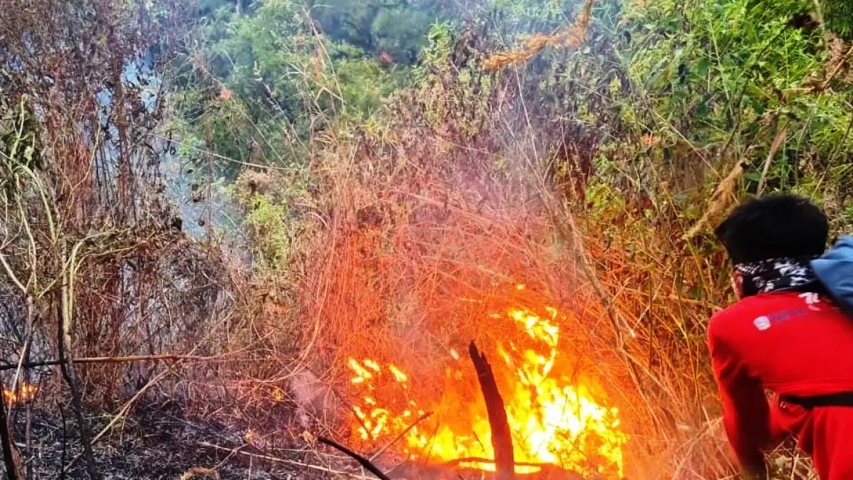 DIPADAMKAN: Kebakaran yang sempat melanda kawasan pegunungan Anjasmoro, RKW 06, Tahura R. Soerjo, Kecamatan Gondang, Kabupaten Mojokerto berhasil dipadamkan tim gabungan. (dok BPBD Kabupaten Mojokerto for JPRM)