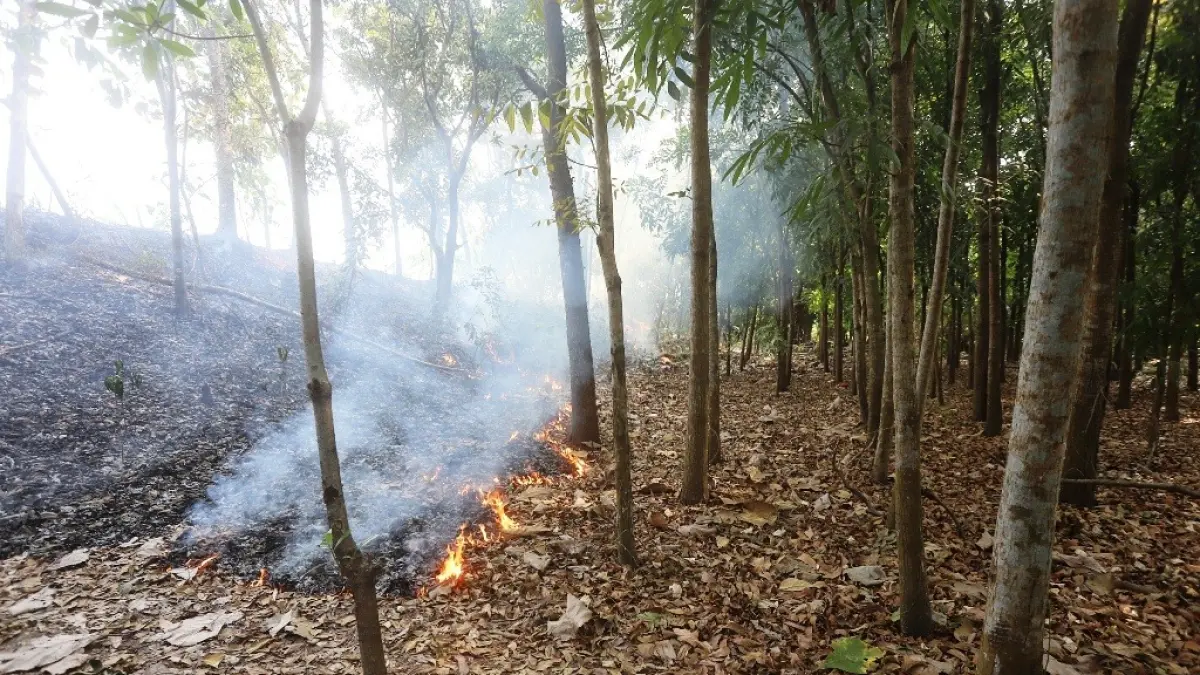 API MERAMBAT: Kondisi lahan di kawasan Hutan Kota Kelurahan Pulorejo, Kecamatan Prajurit Kulon, Kota Mojokerto terbakar, Jumat (4/9). (Sofan Kurniawan/JPRM)