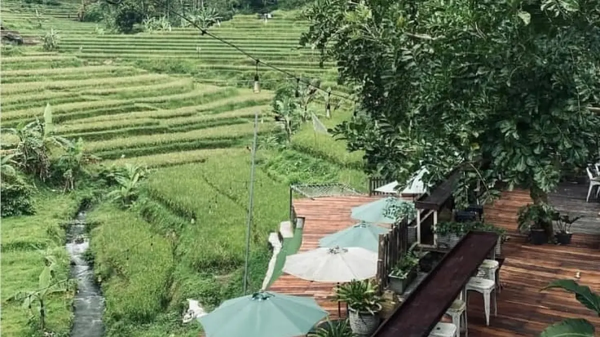 Terastapak kafe Trawas memadukan sejuknya udara pegunungan dengan pemandangan sawah bertingkat yang indah.