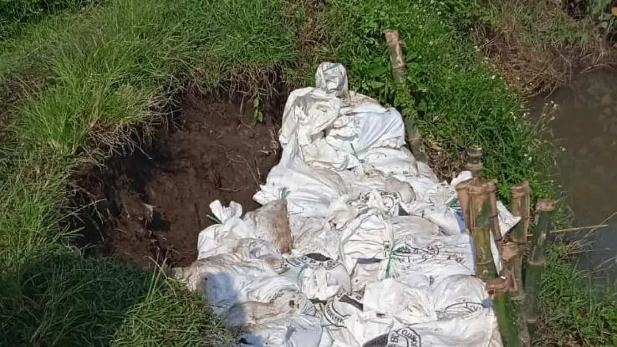 UPAYA MITIGASI: Lokasi tanggul rawan banjir yang berada di kawasan Sungai Gembulu, Desa Jabontegal, Kecamatan Pungging.