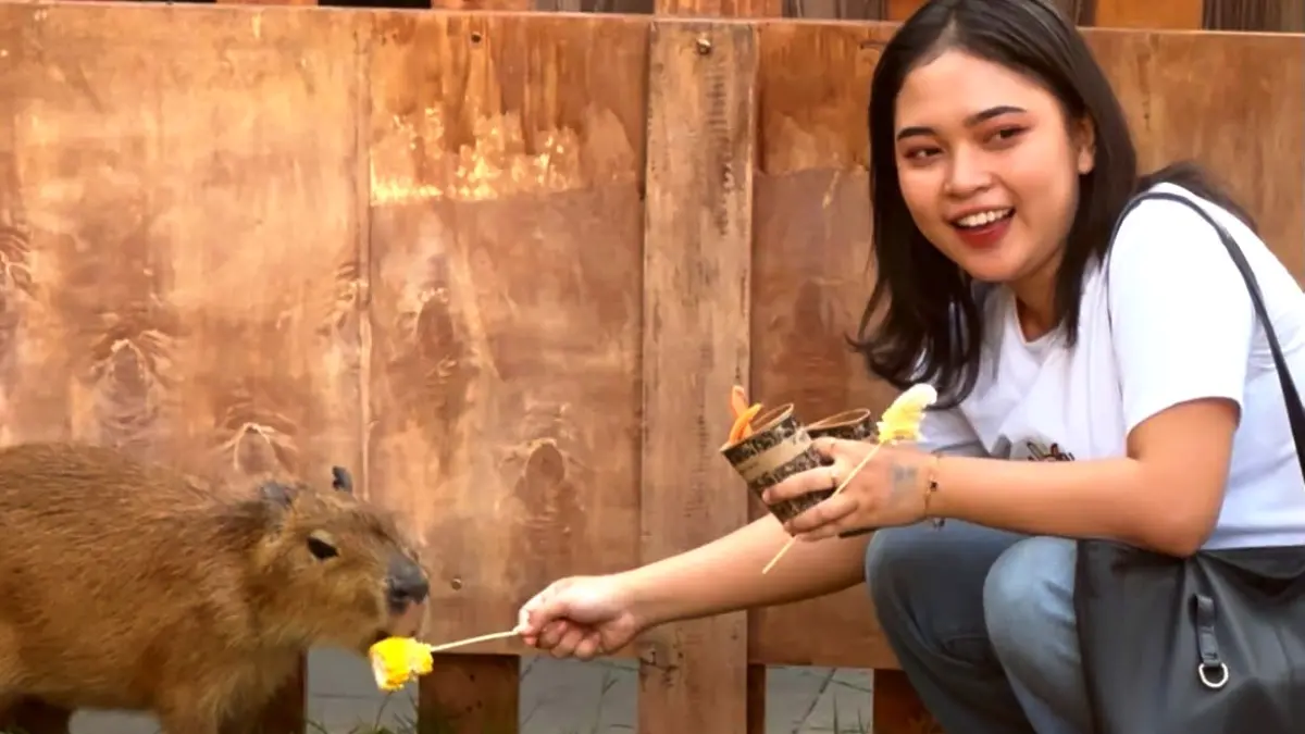 HAPPY: Pengunjung Animal Fun Memoryess memberikan makan salah satu hewan dalam event Animal Fun Memoryess, di Pasar Semeru Kota Mojokerto, Kamis (10/9).