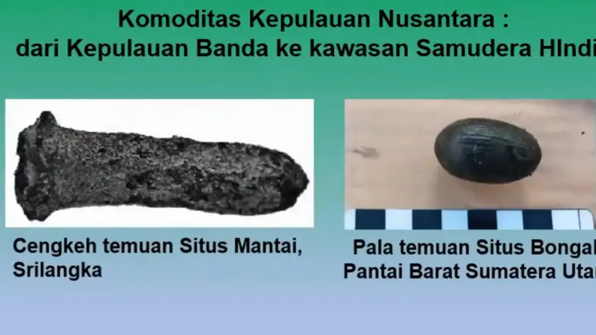 ARTEFAKTUAL: Berbagai komoditas rempah, bahan aromatik, dan kaca dari masa sebelum Majapahit yang ditemukan di situs Bongal dan Kapal Intan Wreck. (dok BRIN for JPRM)