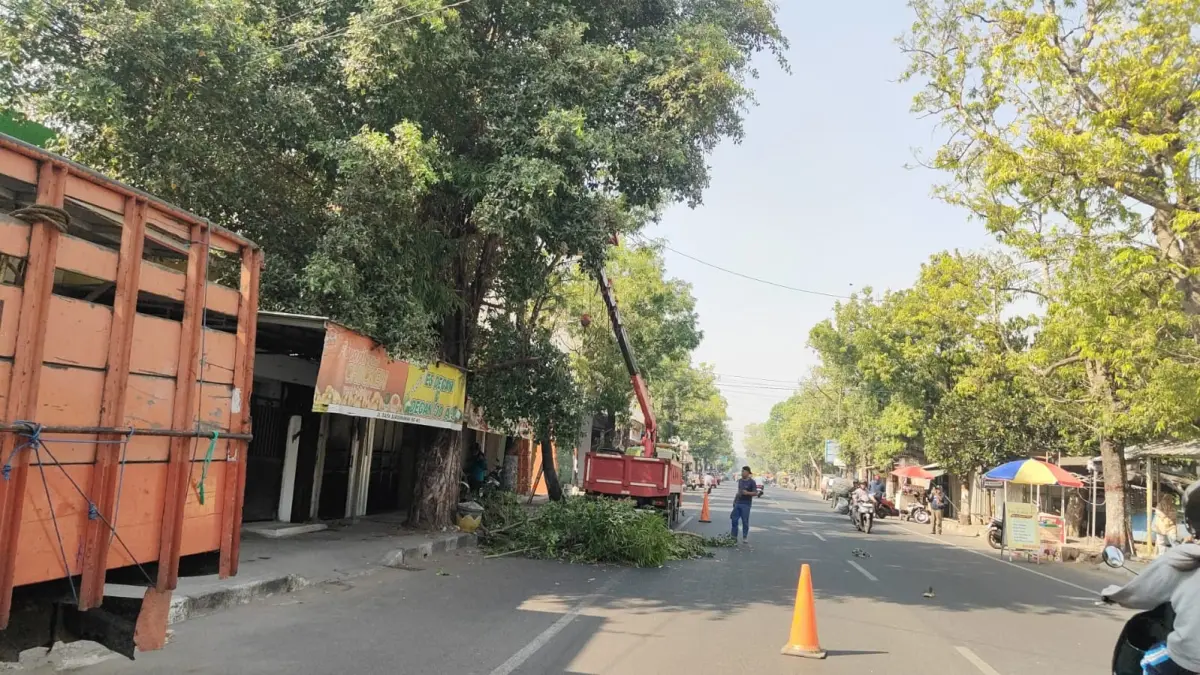 DIRAMPINGKAN:&nbsp;Petugas DLH Kota Mojokerto melakukan pemangkasan pohon menggunakan kendaraan skylift di Jalan Raya Surodinawan, Kecamatan Prajurit Kulon, Senin (21/9). (Adi/JPRM)