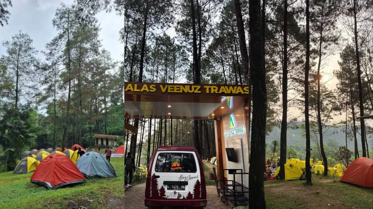 Udara yang sejuk, pemandangan hijau, dan suasana yang tenang cocok untuk camping bareng temen atau keluarga