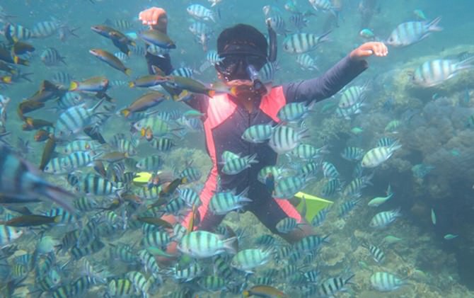 karimun-jawa-eksotika-laut-jawa