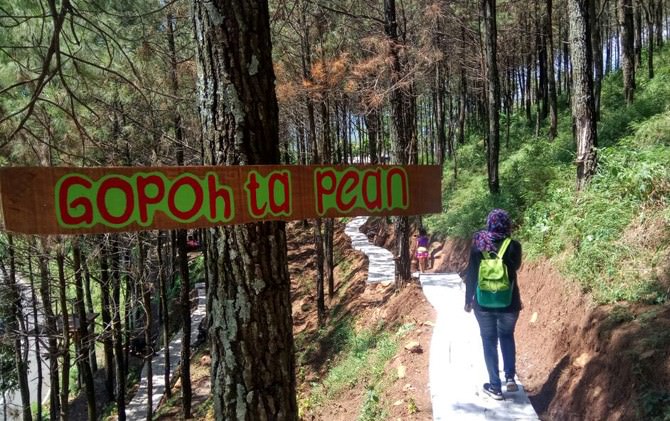 merasakan-hutan-pinus-pacet-dimanjakan-kesejukan-tiga-gunung