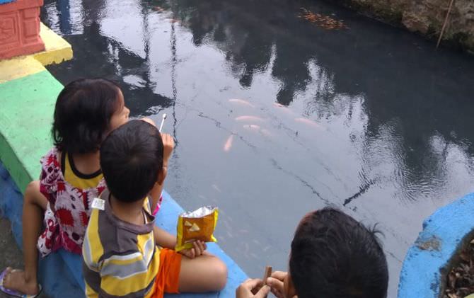 dulu-dikenal-jorok-kini-jadi-destinasi-ikan-hias