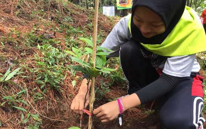 sumber-air-berkurang-tanam-pohon-di-kaki-gunung-welirang