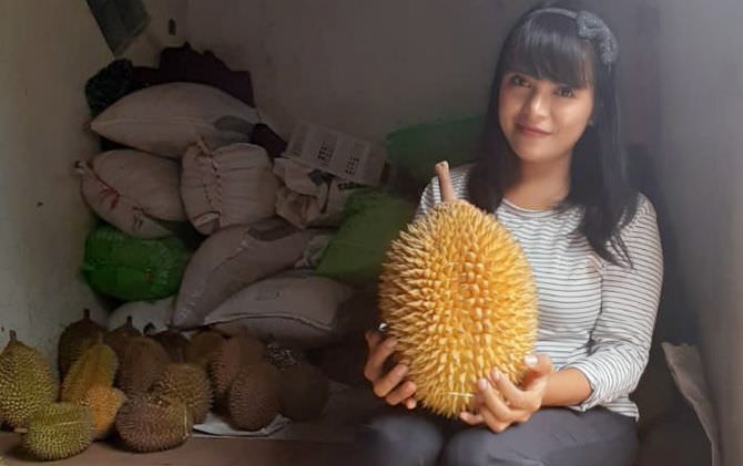 MAKNYUS: Seorang penjual buah durian asal Desa Duyung, Kecamatan Trawas, Kabupaten Mojokerto menunjukkan durian berukuran montok. (dok Jawa Pos Radar Mojokerto)