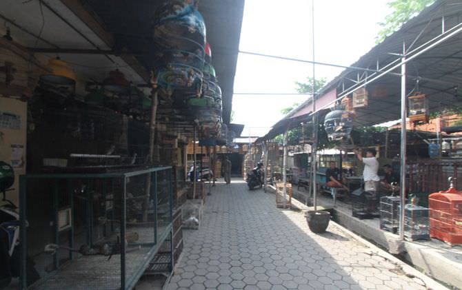 giliran-bantuan-rp-12-miliar-menyasar-pasar-burung