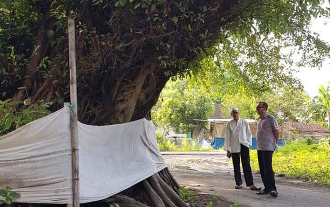 di-desa-sawo-cucu-sunan-giri-mendapat-tugas-amar-makruf-nahi-mungkar