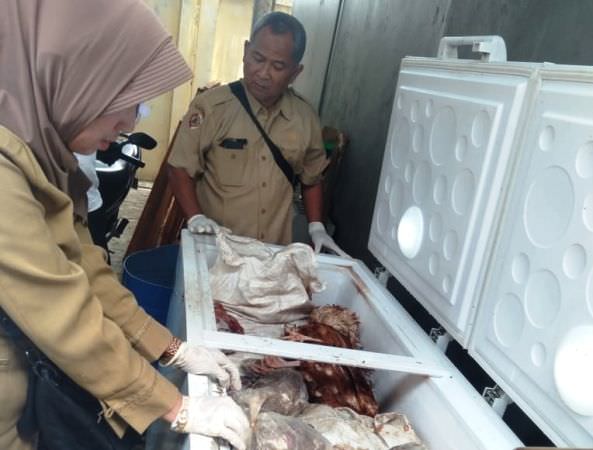 jual-ayam-tiren-mui-sebut-usaha-haram