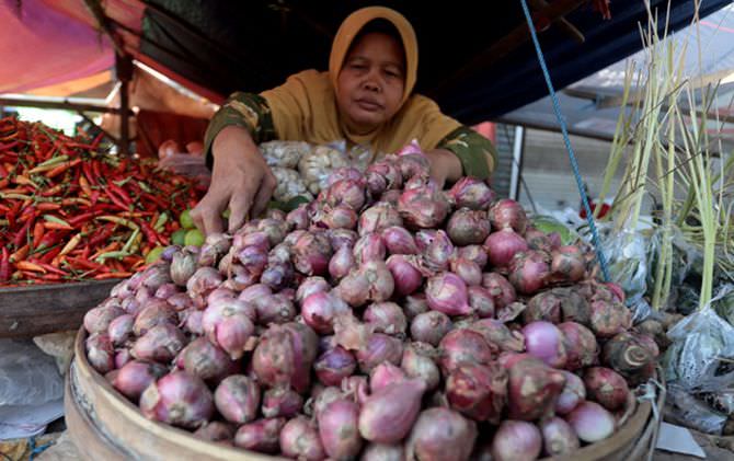 Tak sekadar mengharumkan masakan. Bawang merah juga mampu menjadi obat herbal.