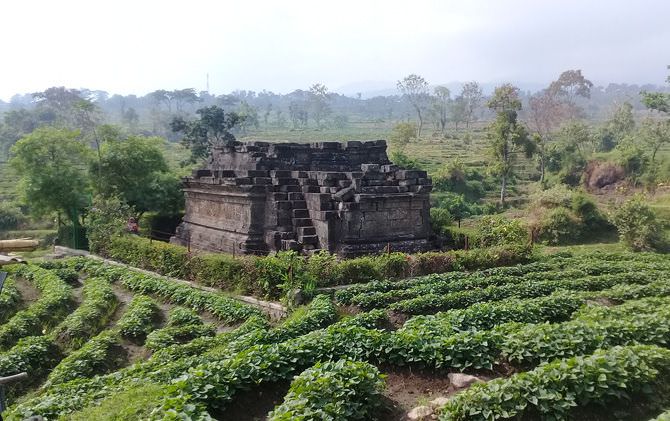 candi-cungkup-sejarah-berpadu-indahnya-hamparan-sawah