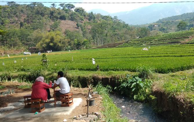 hutan-bambu-petung-seribu-sensasi-mistis-berpadu-indahnya-alam