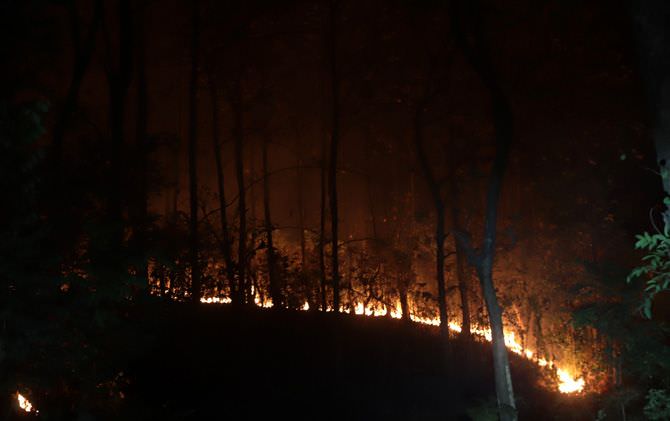 kamis-malam-hutan-watu-blorok-membara
