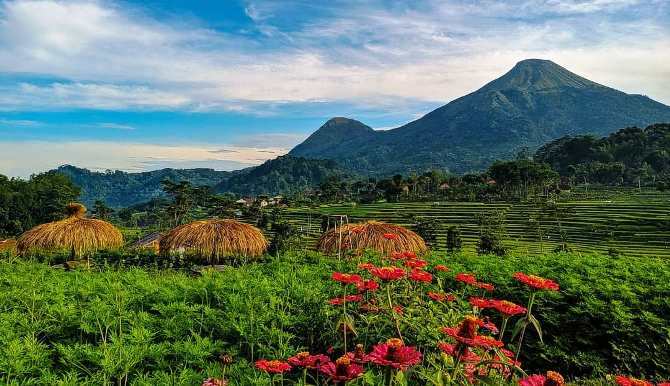 sentra-surga-bunga-refugia