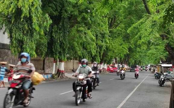 dlh-getol-lakukan-pemangkasan