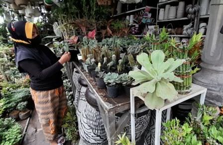 etalase-bunga-dan-tanaman-hias-penyejuk-mata