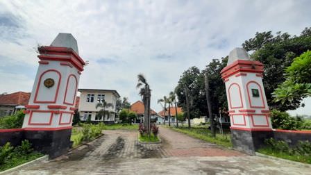 hanya-bertahan-seumur-jagung