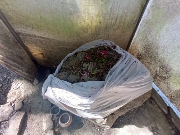 SAKRAL: Watu Blorok berada di tepi jalan raya kawasan hutan milik perhutani yang berada di jalur penghubung Mojokerto-Gresik.