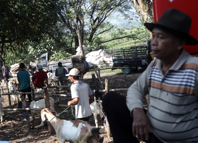 SEGERA BUKA: Pasar hewan di Desa Pohjejer, Kecamatan Gondang yang sebelumnya ditutup pemkab bakal segera dioperasikan kembali jelang Idul Adha.