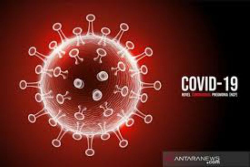 Corona Virus. ANTARA (1)