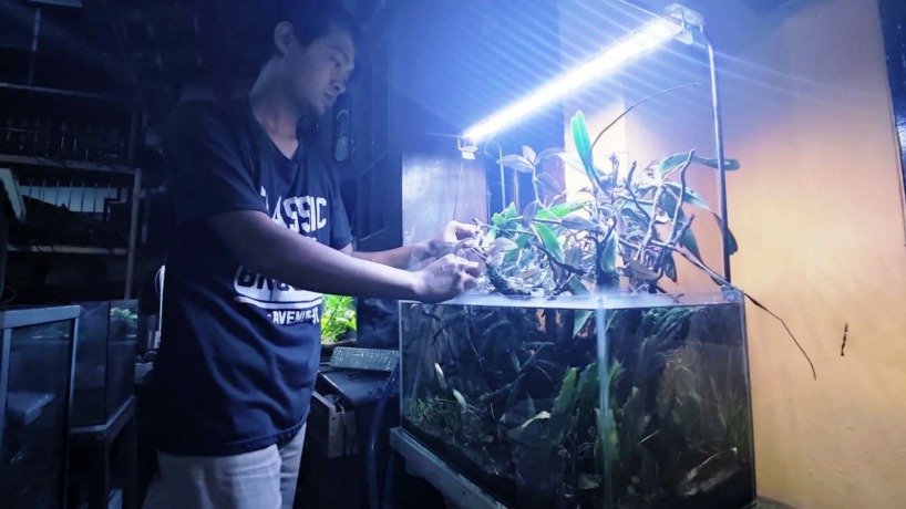 ELOK: Salah satu aquascape koleksi Rachman Guswardi yang dirancang sedemikian rupa hingga tampak alami.