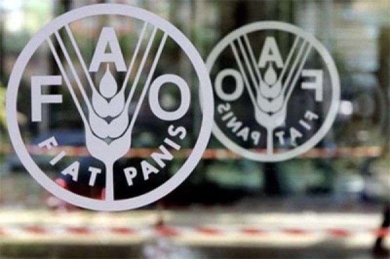 Logo Organisasi Pangan dan Pertanian (FAO). ANTARA/Reuters/Alessandro Bianchi